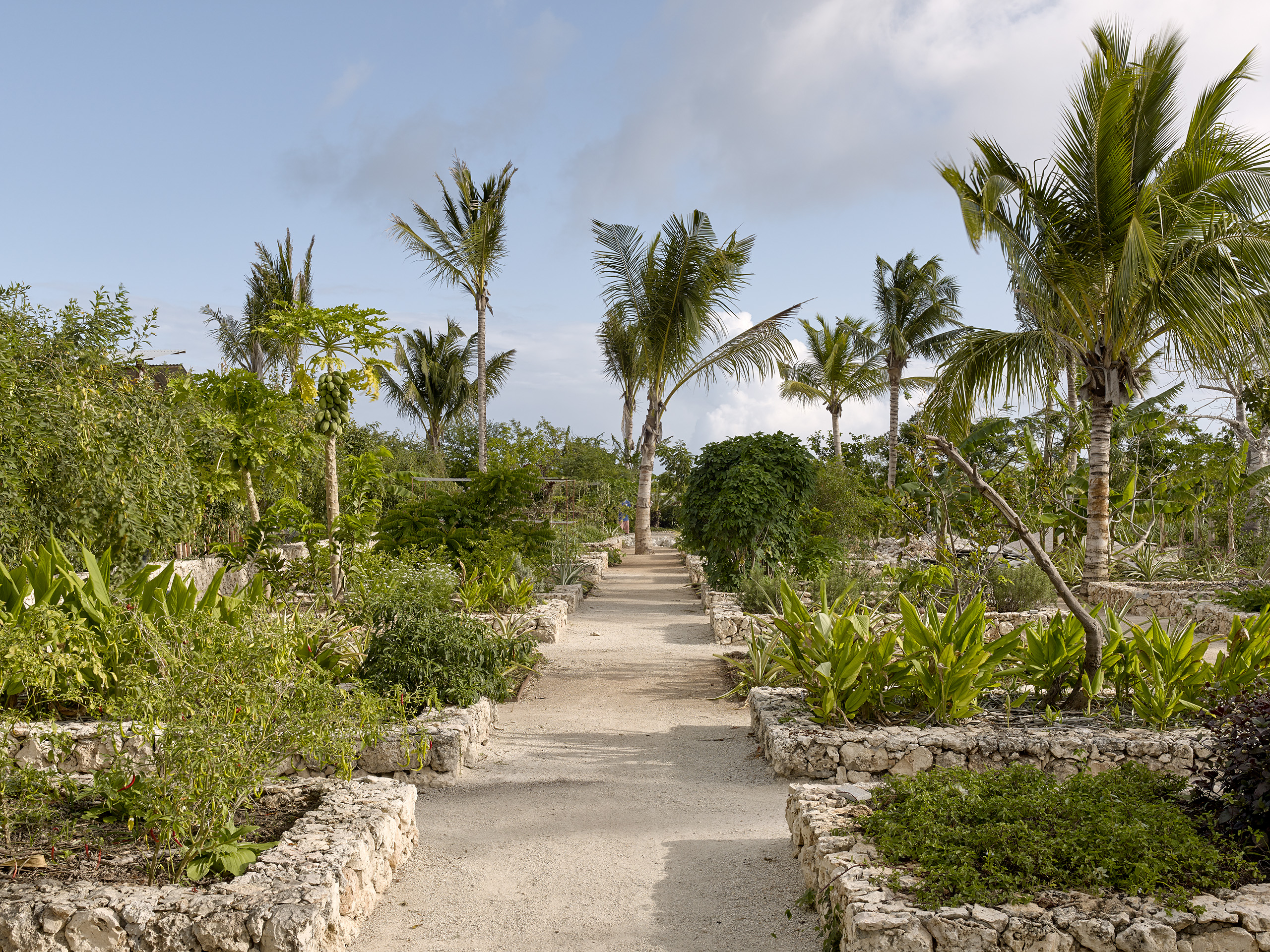 Kizikula, Kizimkazi, Zanzibar